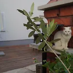 Apartmán Filip Diklo Zadar
