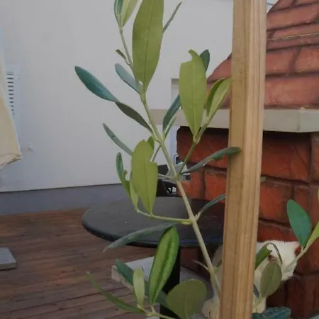 Apartamento Filip Diklo